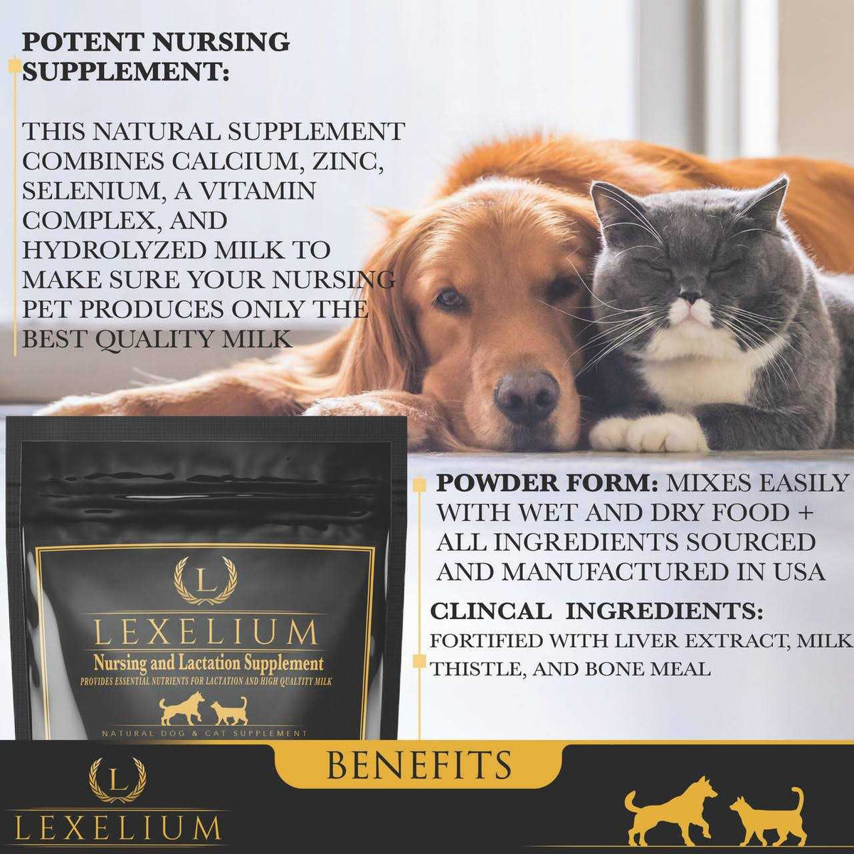 Nursing and Lactation Supplement for Dogs and Cats G640919