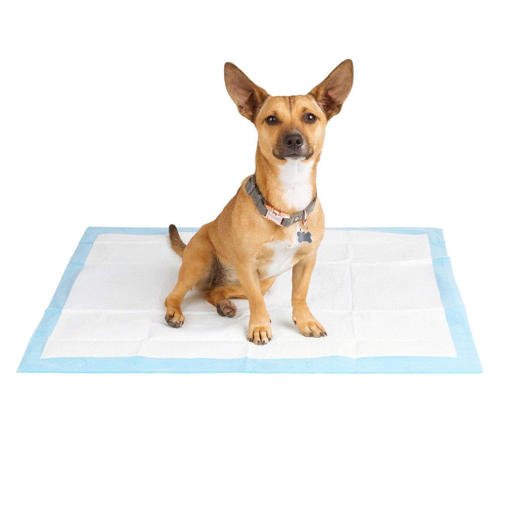 Large Quilted Potty Pads H32315