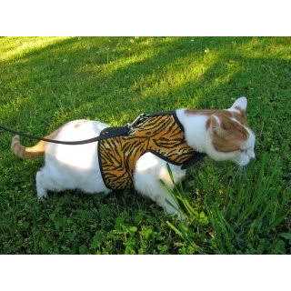 Cat Harness Z47930