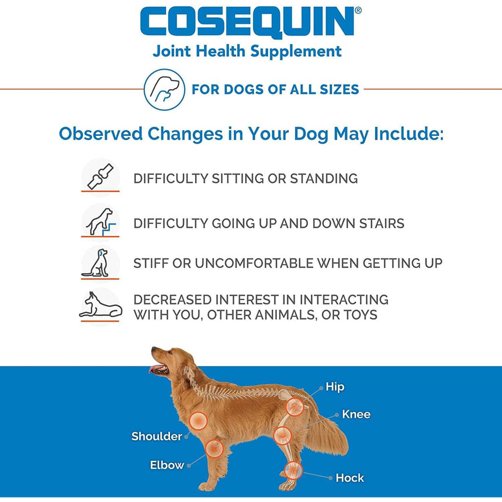 Chewable Tablets for Dogs Q872792