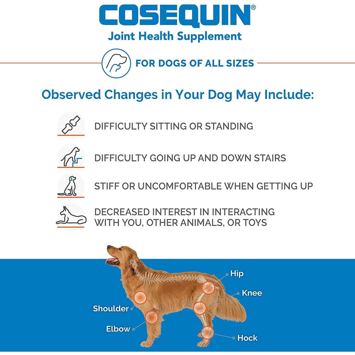 Chewable Tablets for Dogs Q872792