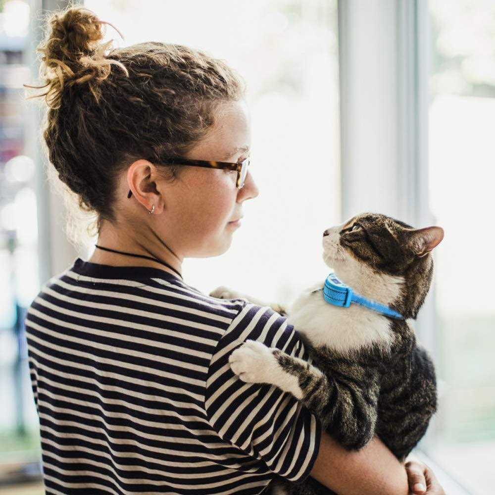 Cat Shock Collar O1515