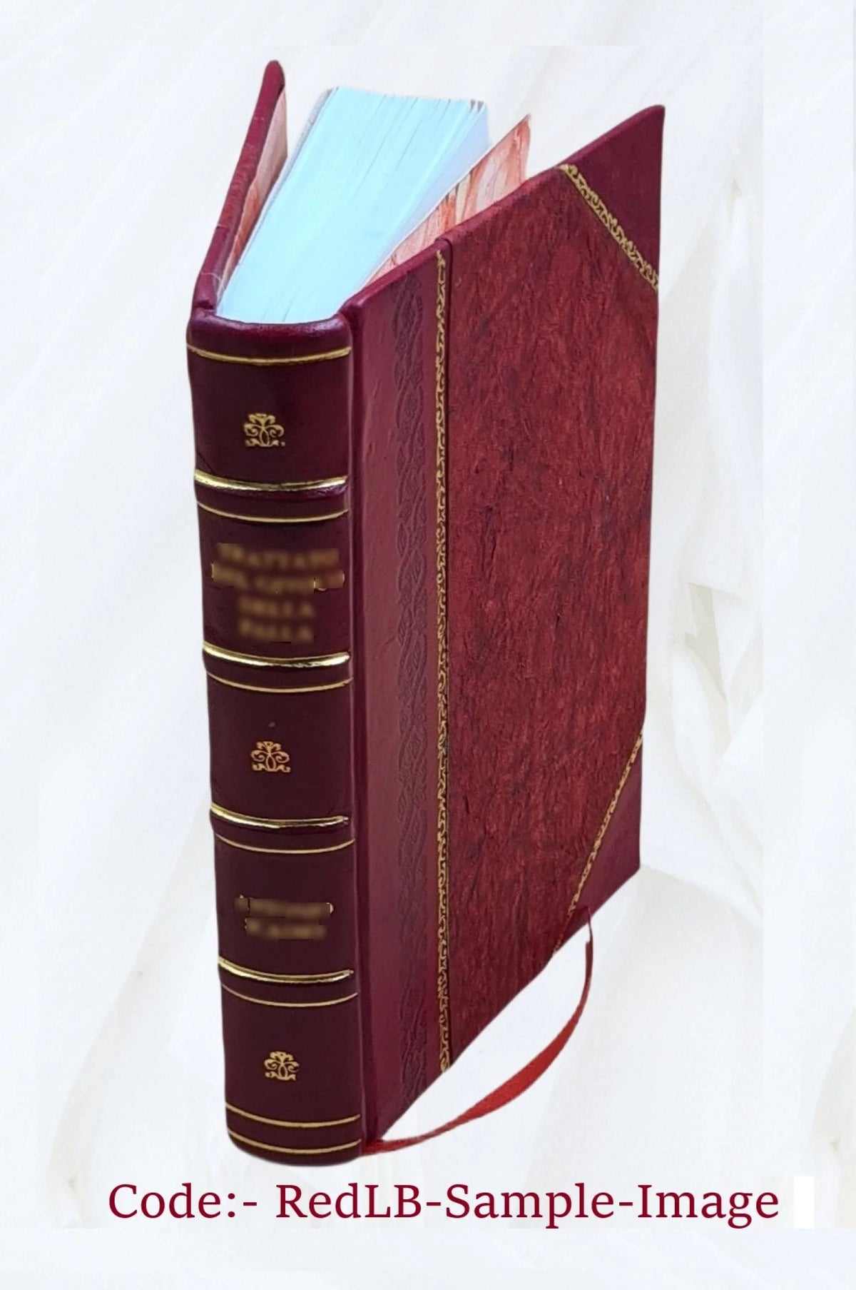 1920 Providence Building Laws and Ordinances Leather Bound V93698