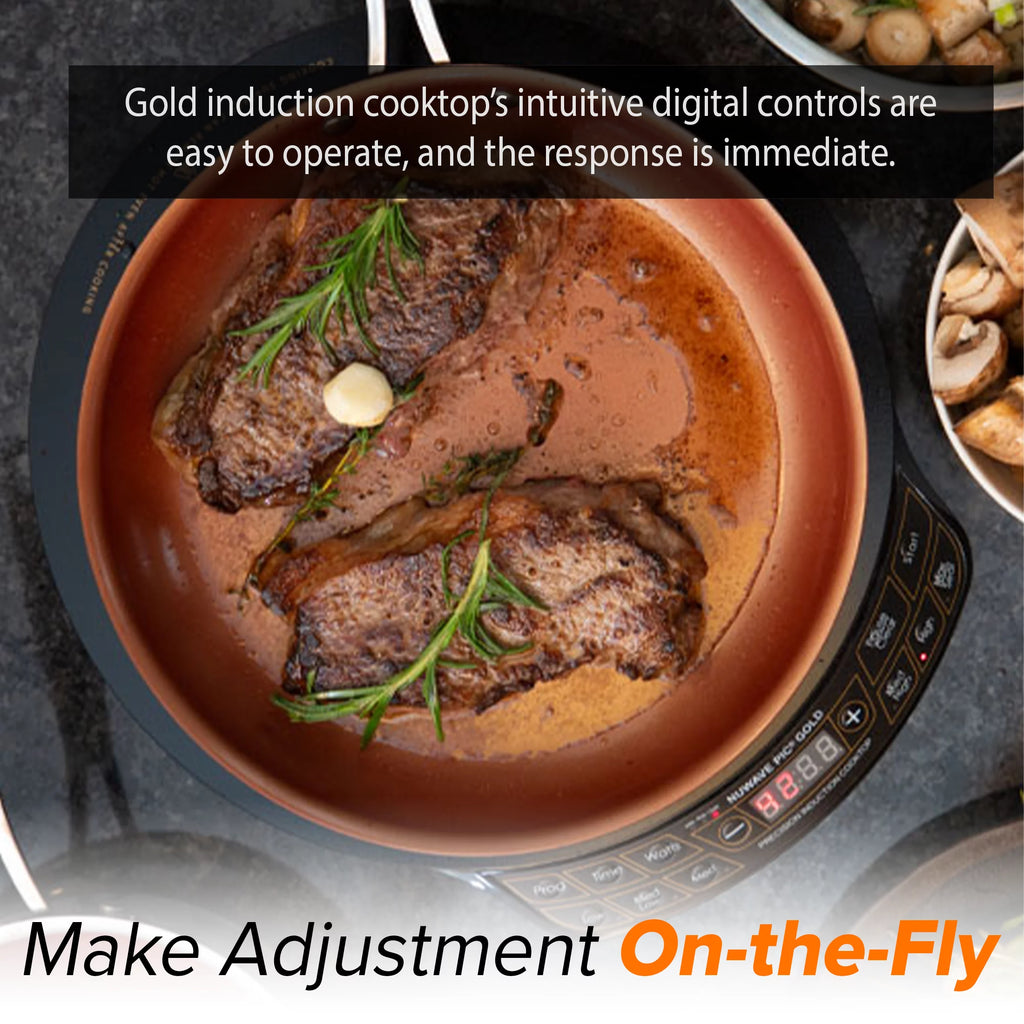 Induction Electric Cooktop with 10.5 inch Pan W566