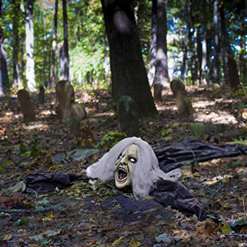 Halloween Zombie Witch Decoration with Bendable Arms E13860