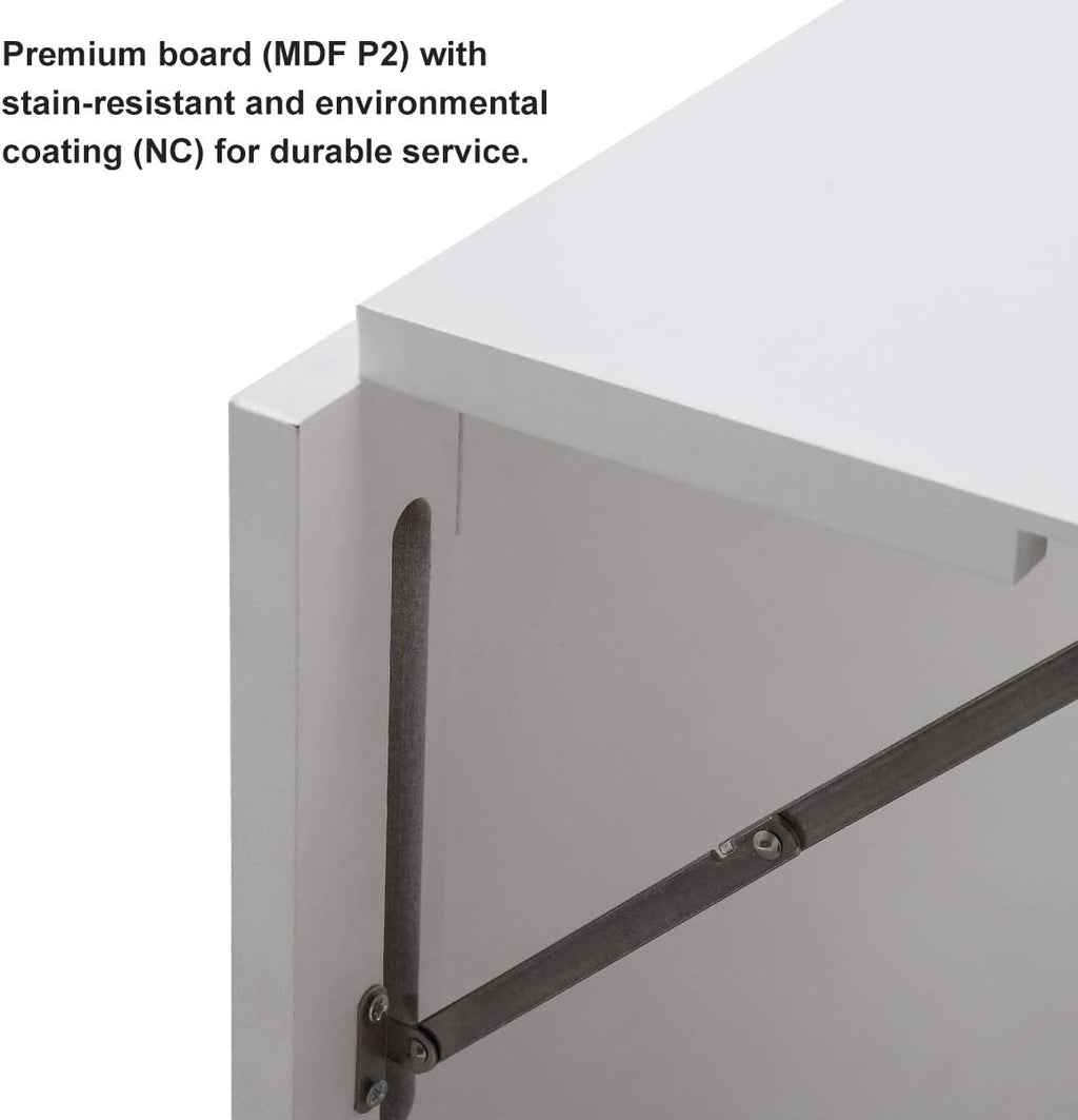 Wall Mounted Folding Desk with Storage Z314