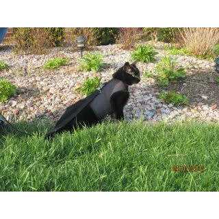 Cat Harness Z47930