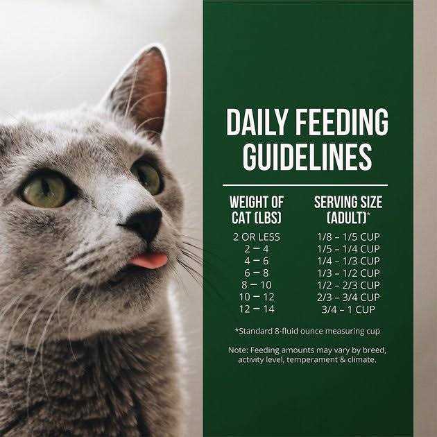 Salmon Chicken Dry Cat Food C2979