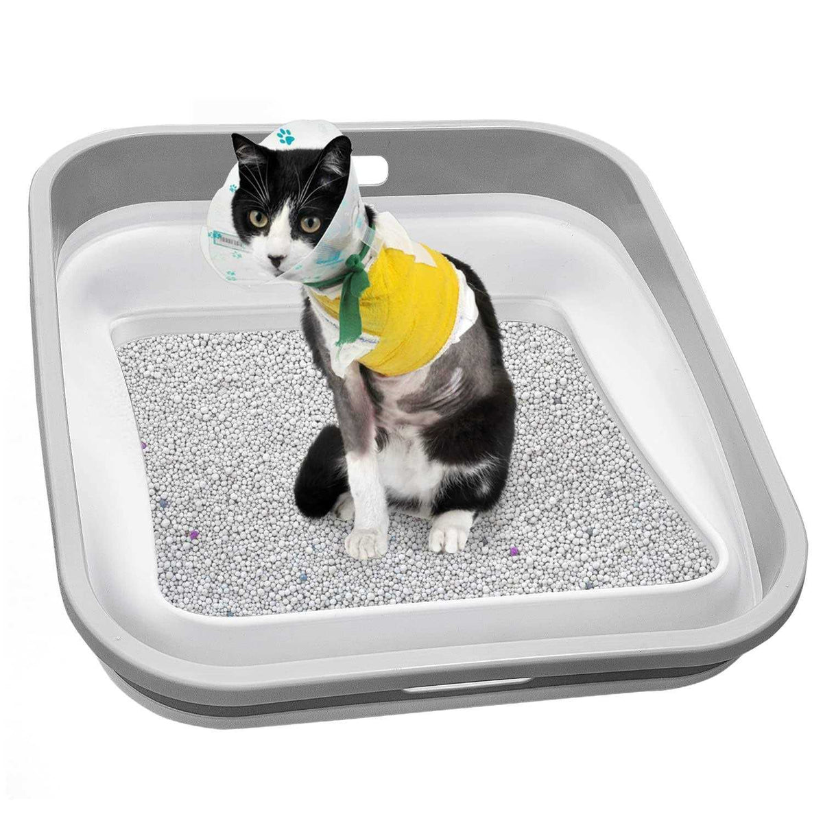 Low Entry Open Cat Litter Box J8524