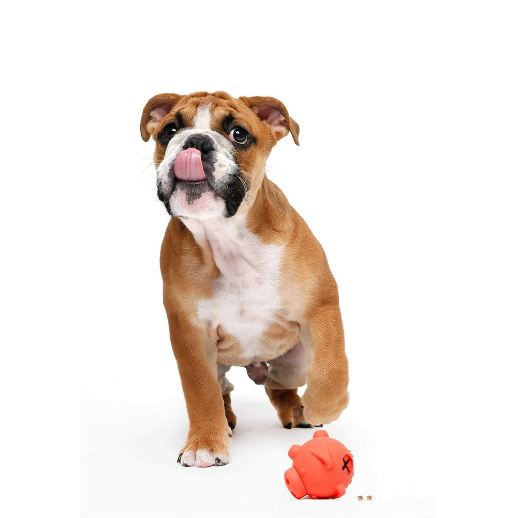 Piglet Dog Toy Z17040