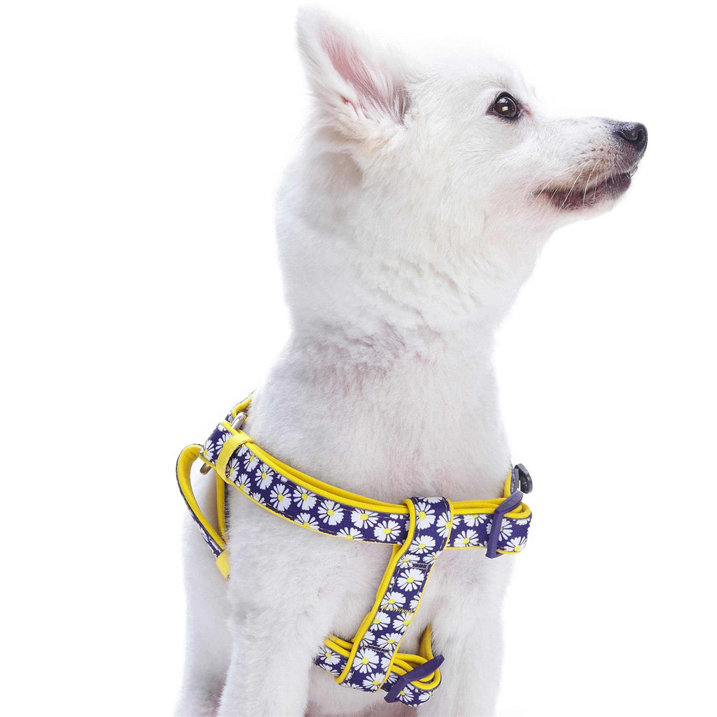 Step Dog Harness E213327