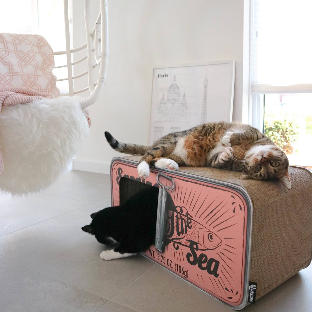 Cardboard Cat Scratcher R3094