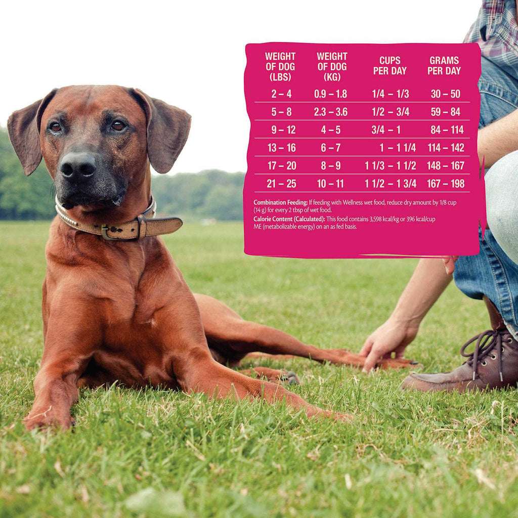 Grain-Free Small Breed Dry Dog Food A258723