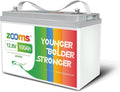 12V 100Ah LiFePO4 Deep Cycle Battery Q855