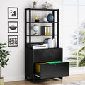 2 Drawer File Cabinet with Lock J860811
