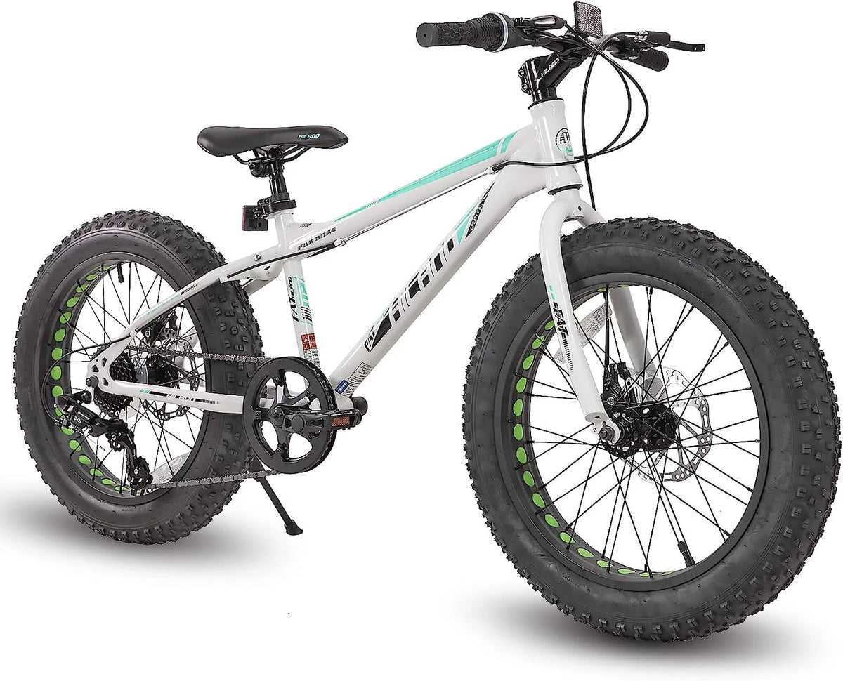 20 inch Kids Fat Tire Mountain Bike V629377