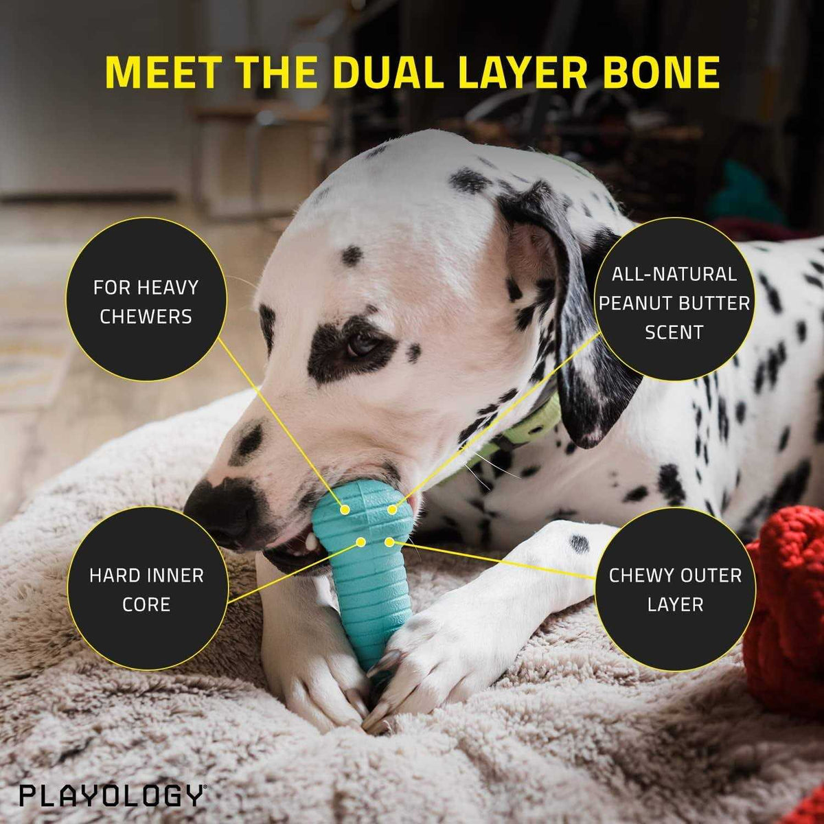 Peanut Butter Dual Layer Bone Dog Toy N4559