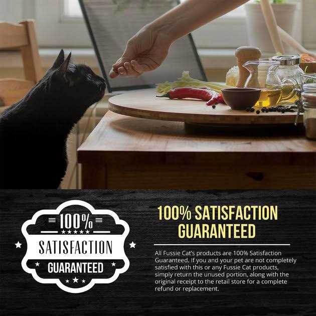Salmon Chicken Dry Cat Food C2979