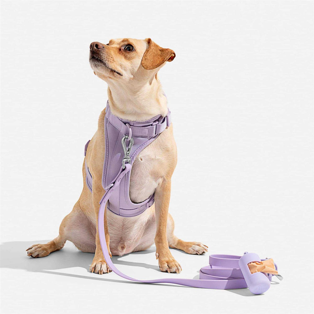 Dog Harness Z1867