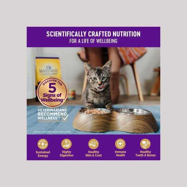 Grain Free Wet Cat Food H195206