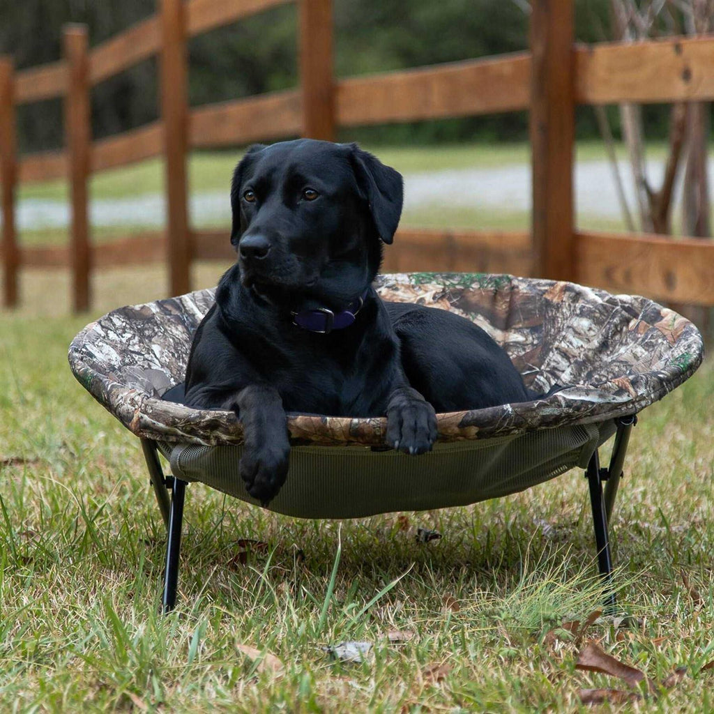 Elevated Pet Cot A3127