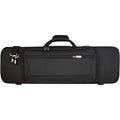 Black Violin Case F904