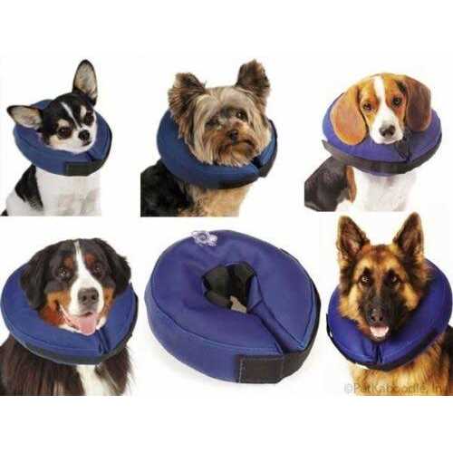 E Collar Q173673