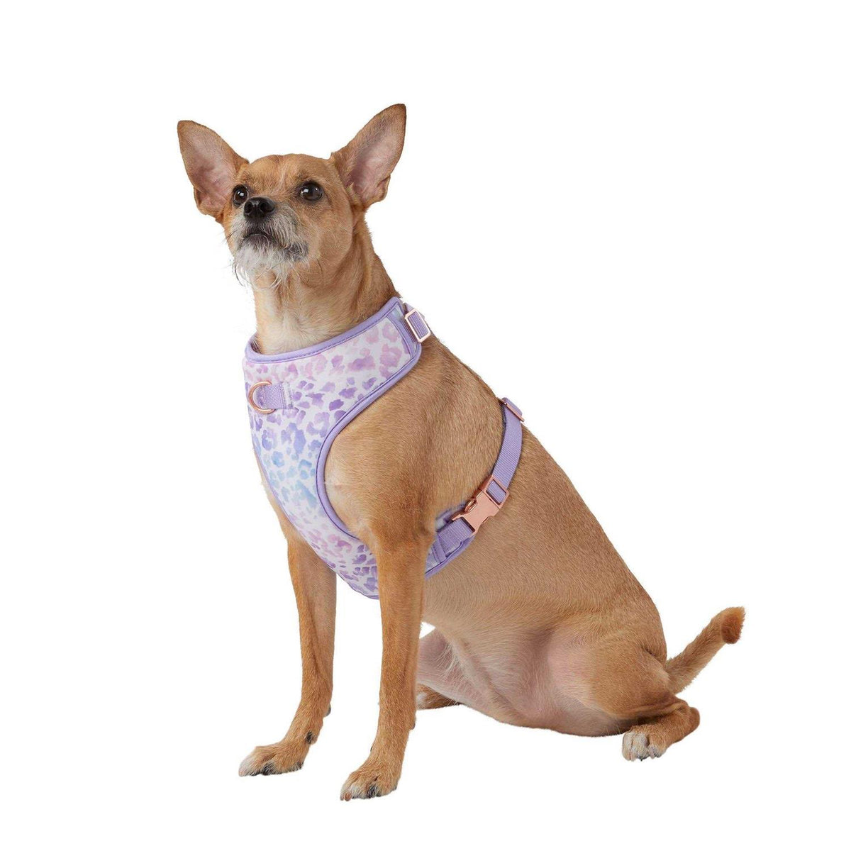 Dog Harness G871