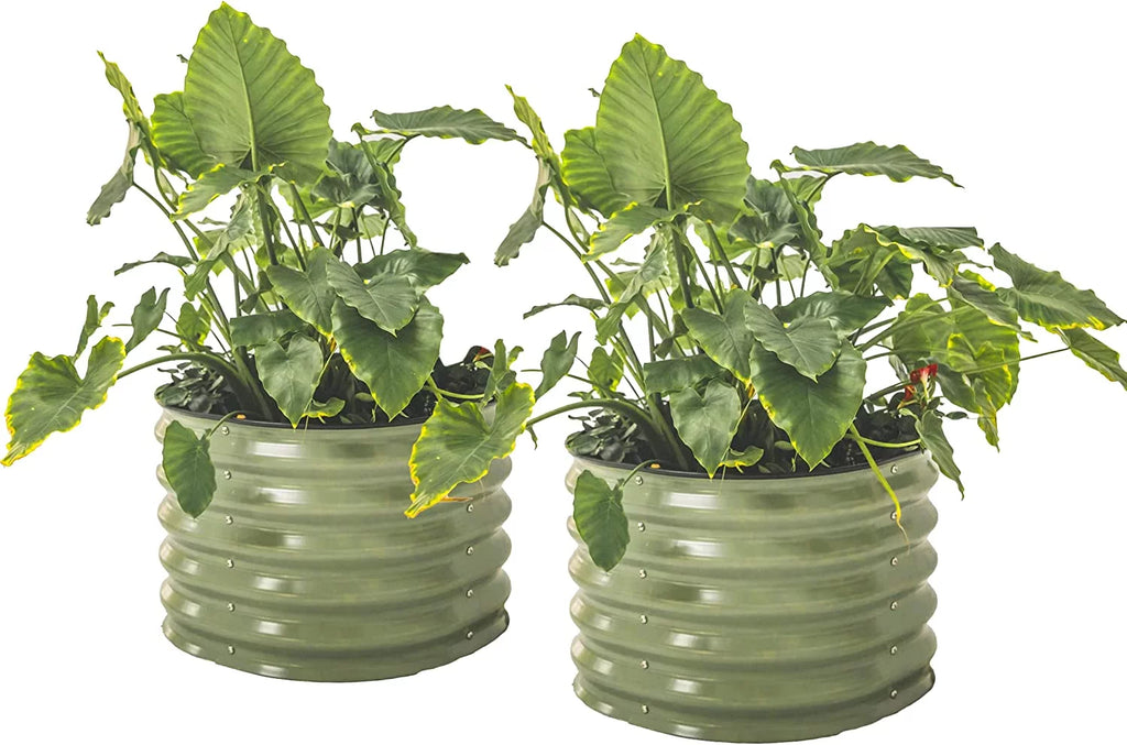 17" Tall 24" Wide Olive Green Gardening L782586
