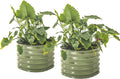17" Tall 24" Wide Olive Green Gardening L782586