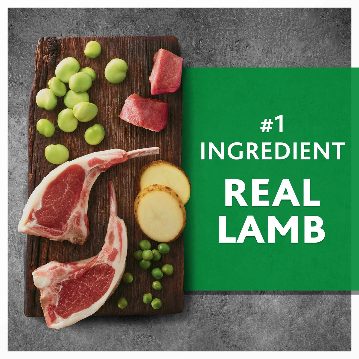 Lamb & Fava Bean Recipe Grain-Free Dry Dog Food 24 lbs A652588