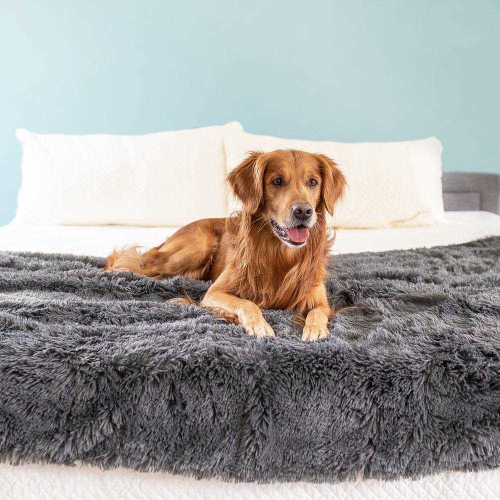 Throw Blanket N336381