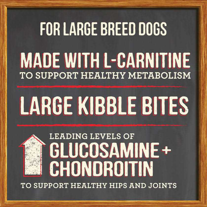 Healthy Grains Dry Dog Food Large Breed R47862