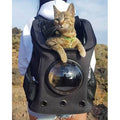 Cat Backpack D919349