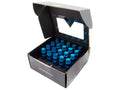 21 PC Lug Nut Set with Locks L720309
