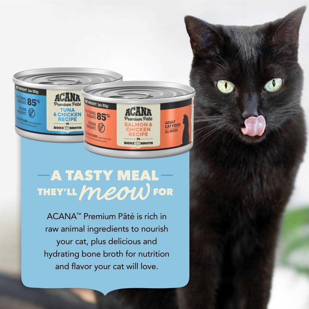 Wet Cat Food Variety Pack J278