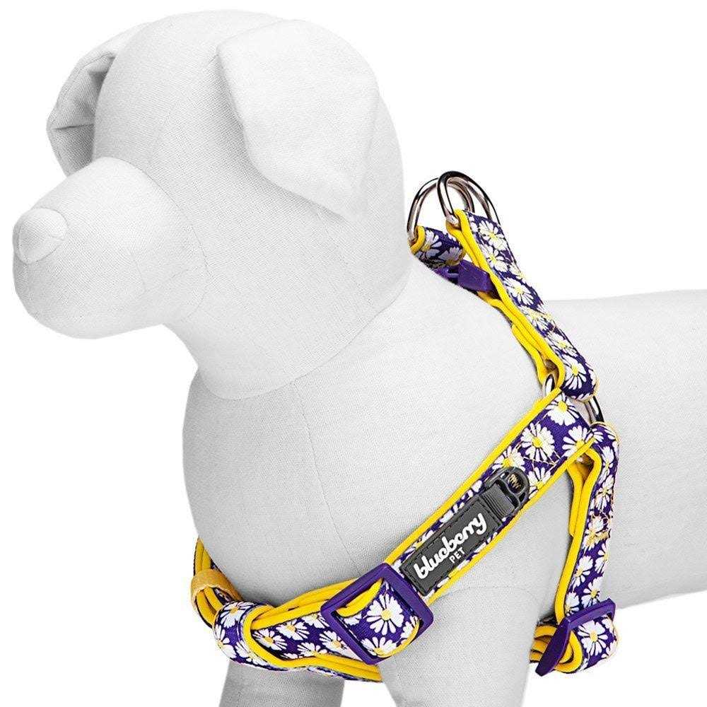Step Dog Harness E213327