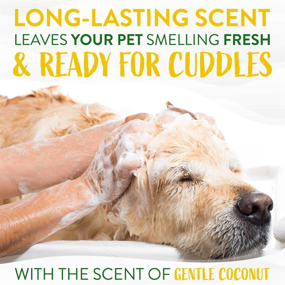 Coconut Puppy Shampoo F2281