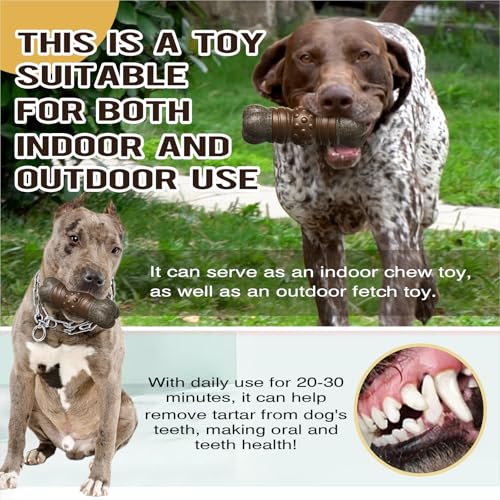 Large Durable Squeaky Dog Chew Toy L925