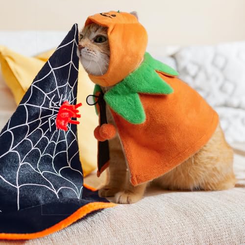 2 Sets Pet Pumpkin Costume Cat Halloween Cloak Hat Set B815594