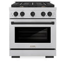 30 4.2 cu. ft. Gas Range with Convection Gas Oven R1062