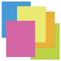 Heavy Poster Board Assorted Neon Pack of 25 Z2077