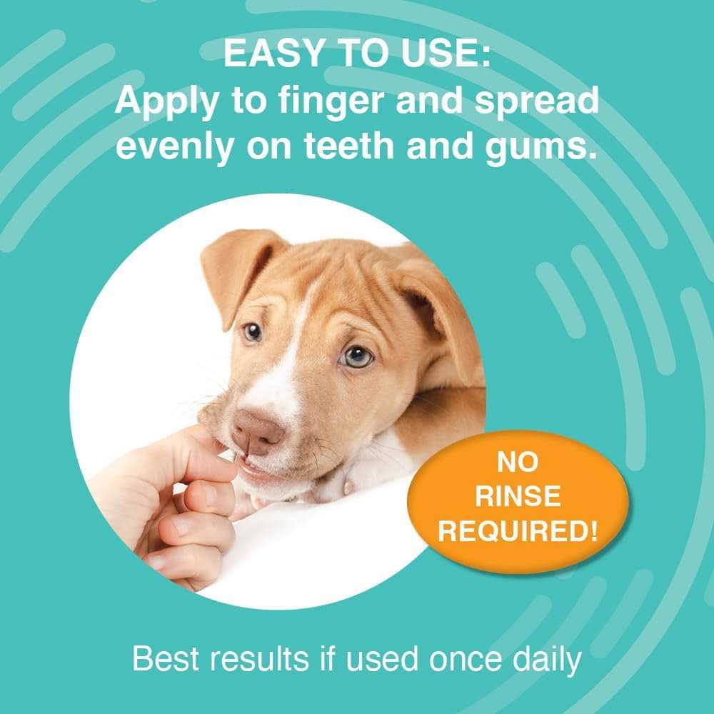 Dental Gel Z494