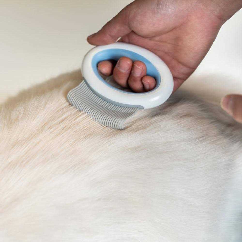 Handheld Flexible Pet Grooming Rake Comb P683156