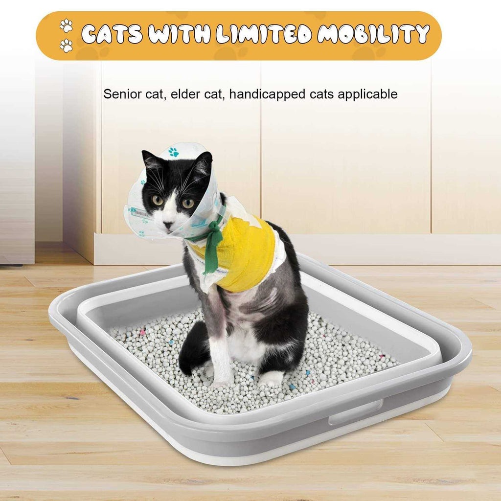 Low Entry Open Cat Litter Box J8524