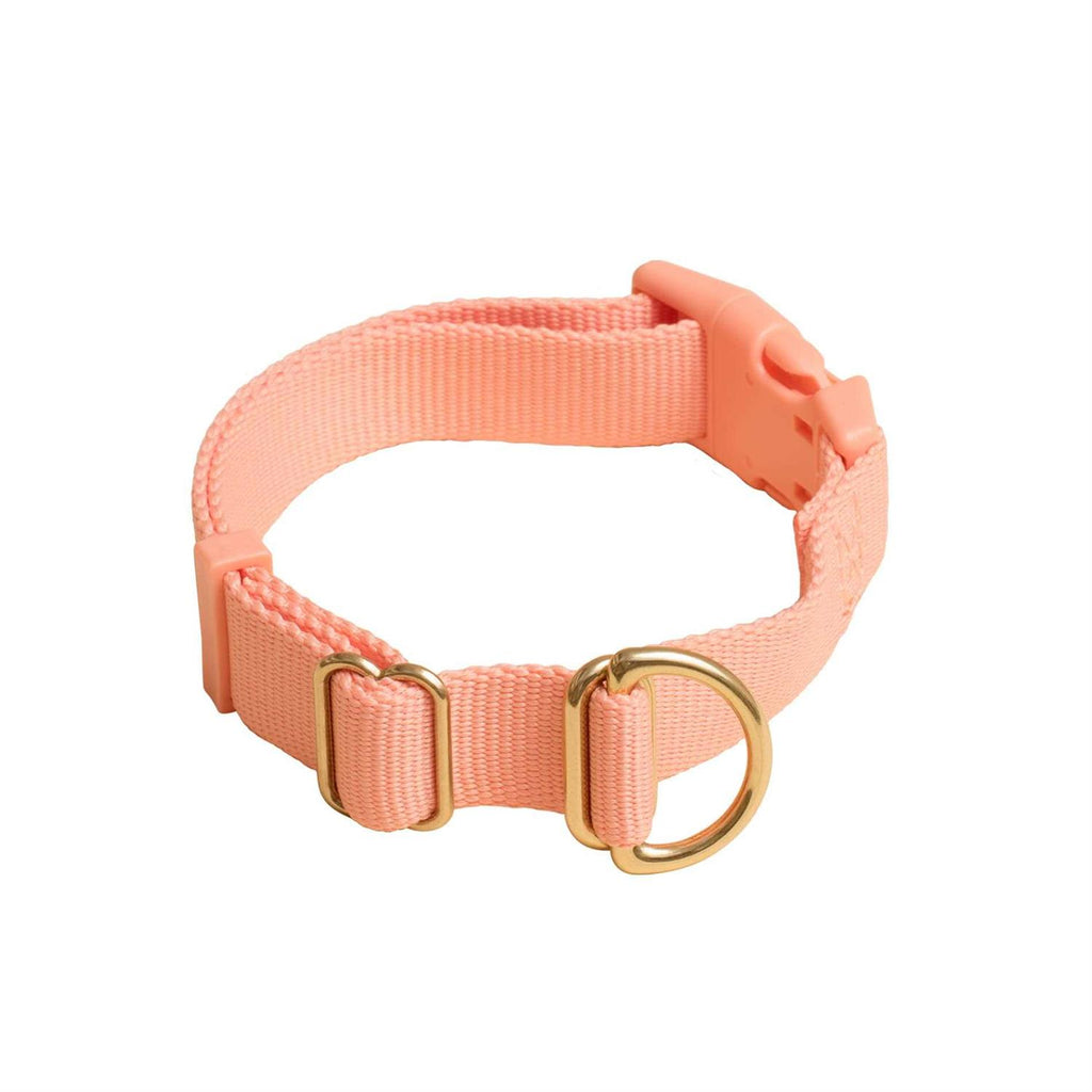 Standard Dog Collar A57000