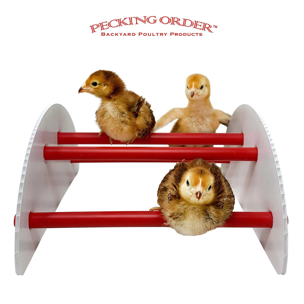 Chick-N-Play L22027