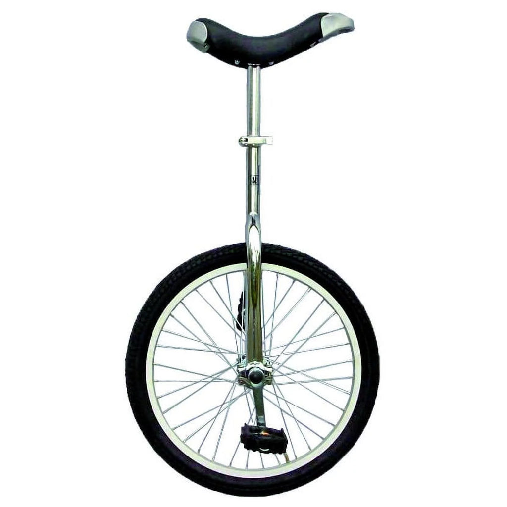 20 inch Unicycle with Alloy Rim, Blue Q6799