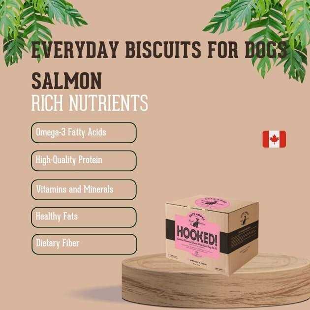 Salmon Flavored Dog Treats N401311