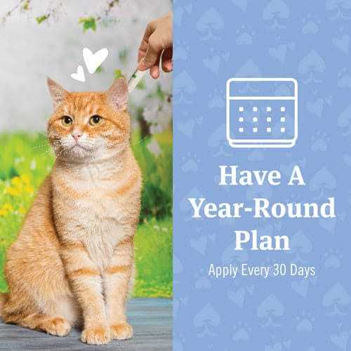 Flea and Tick Treatment for Cats U620097
